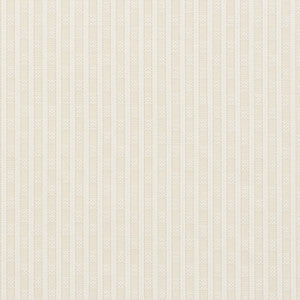 Beverly Stripe Neutral 74213 by Schumacher Fabric