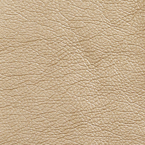 7424 Gold by Charlotte Fabric
