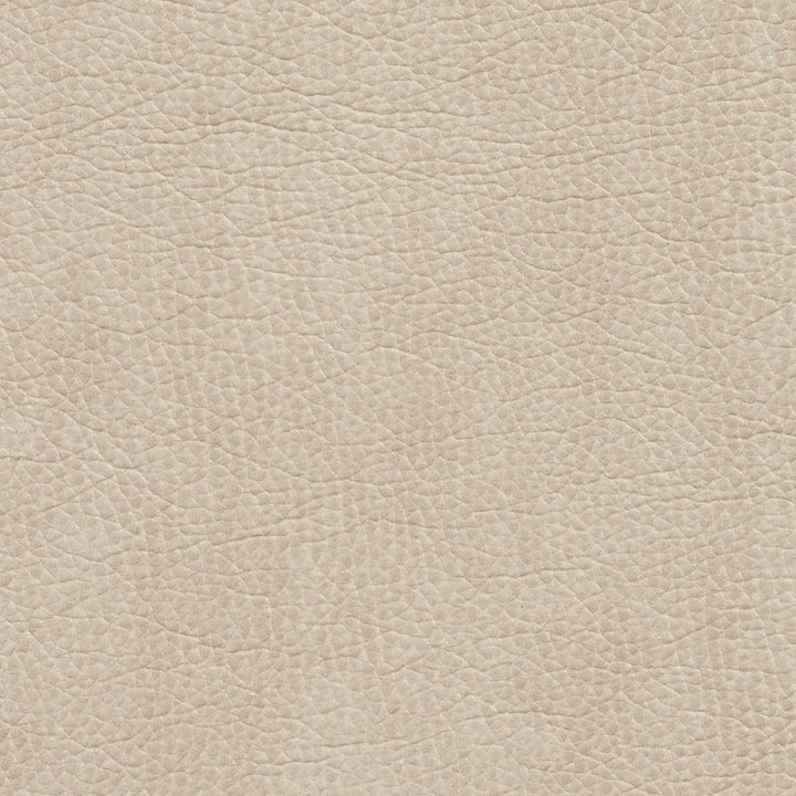 7426 Bone by Charlotte Fabric Breathables 100% Breathable Polyurethane, 26oz. Asia Exceeds 2,000,000 Wyzenbeek Double Rubs (Heavy Duty) </p><p>Repeat: No Repeat 54 Inches - Fabric Carolina -