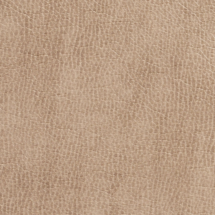 7432 Birch by Charlotte Fabric Breathables 100% Breathable Polyurethane, 26oz. Asia Exceeds 250,000 Wyzenbeek Rubs (Heavy Duty) No Repeat 54 Inches - Fabric Carolina -