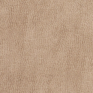 7432 Birch by Charlotte Fabric