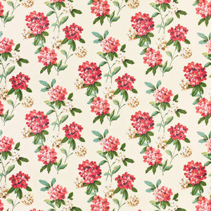 7436-7 Cashiers by Bassett Mcnab Fabric