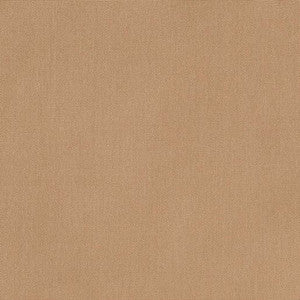 14107 Canvas Raffia by Sunbrella Fabric