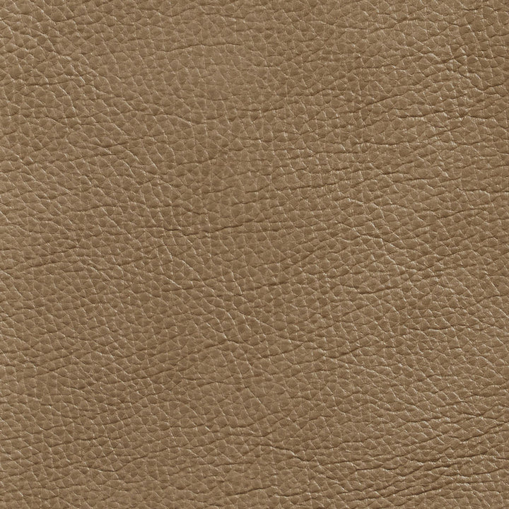 7437 Dune by Charlotte Fabric Breathables 100% Breathable Polyurethane, 26oz. Asia Exceeds 250,000 Wyzenbeek Rubs (Heavy Duty) No Repeat 54 Inches - Fabric Carolina -