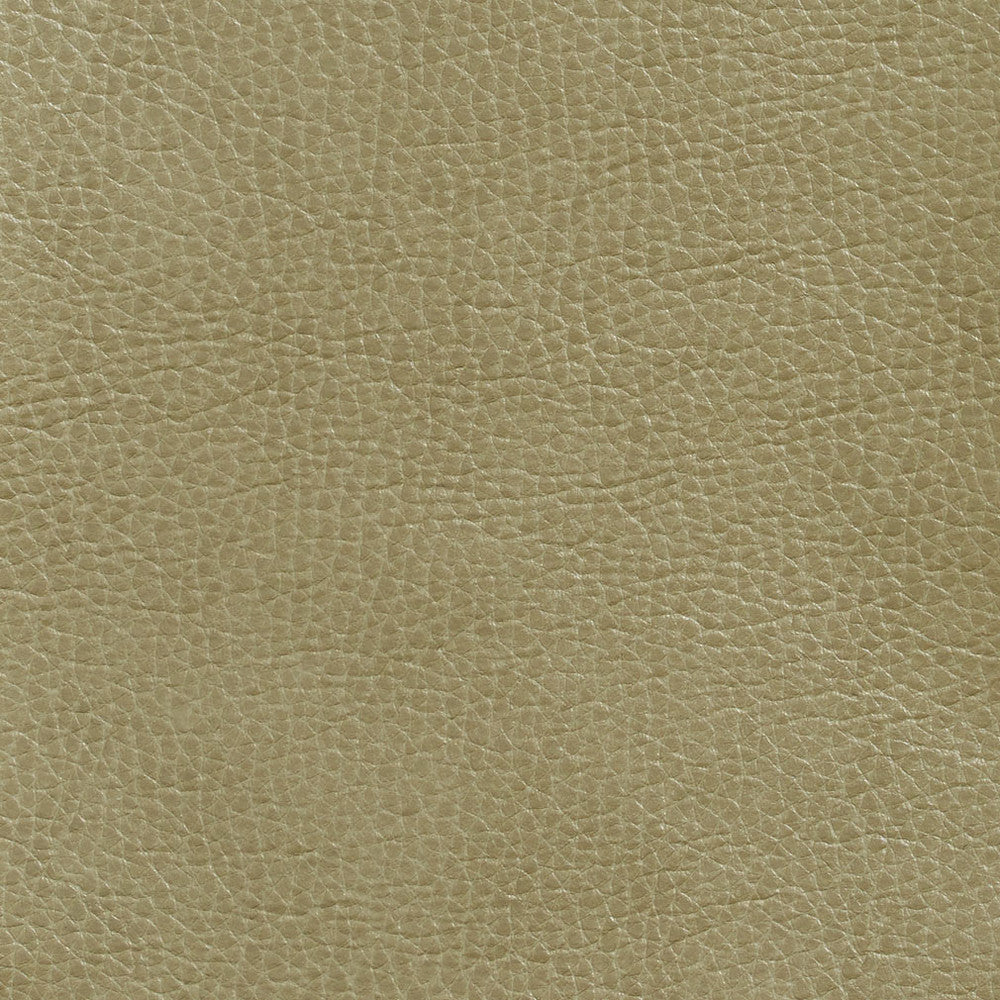 7439 Moss by Charlotte Fabric Breathables 100% Breathable Polyurethane, 26oz. Asia Exceeds 250,000 Wyzenbeek Rubs (Heavy Duty) No Repeat 54 Inches - Fabric Carolina -