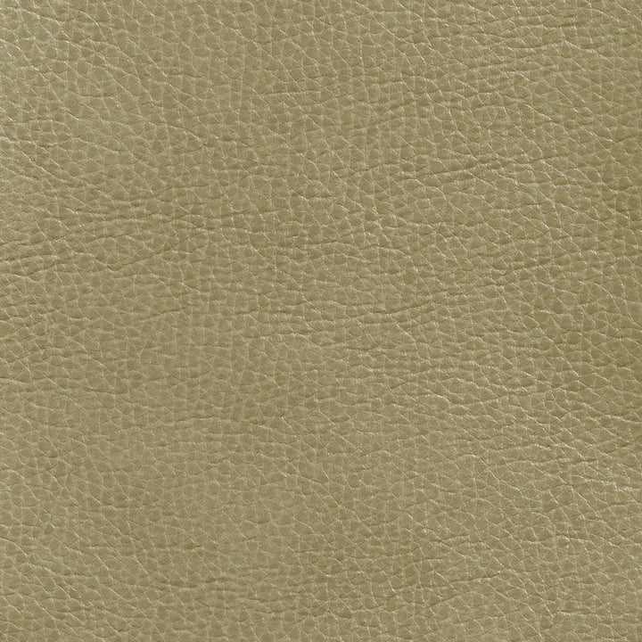 7439 Moss by Charlotte Fabric Breathables 100% Breathable Polyurethane, 26oz. Asia Exceeds 250,000 Wyzenbeek Rubs (Heavy Duty) No Repeat 54 Inches - Fabric Carolina -
