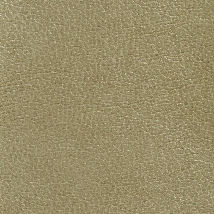 7439 Moss by Charlotte Designer Fabric Breathables 100% Breathable Polyurethane, 26oz. Asia Exceeds 250,000 Wyzenbeek Rubs (Heavy Duty) No Repeat 54 Inches - Swanky Fabrics -