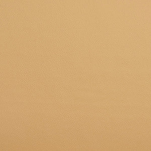 7441 Ecru by Charlotte Fabric