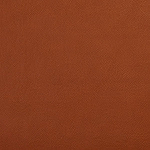 7443 Palomino by Charlotte Fabric