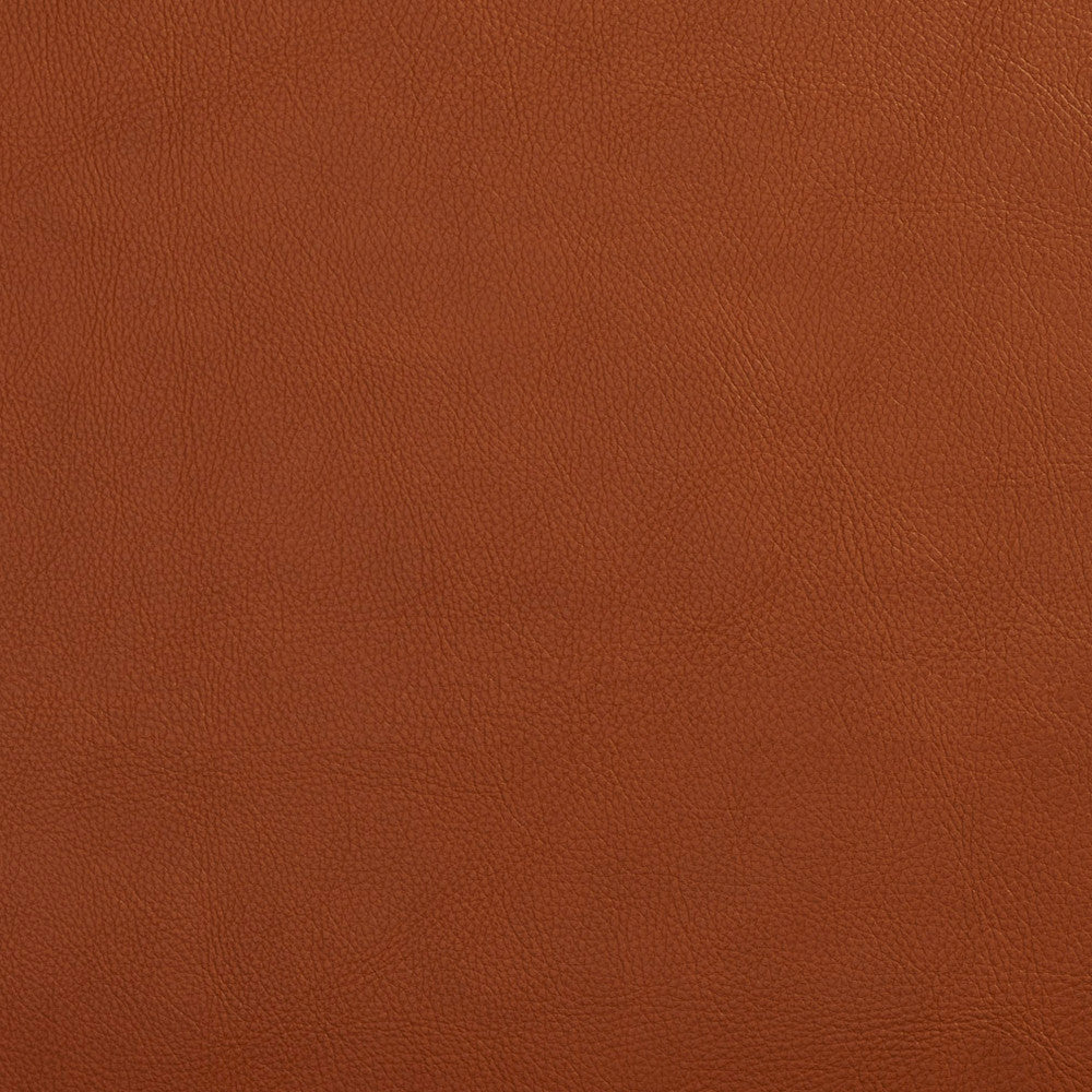 7443 Palomino by Charlotte Designer Fabric UltraHyde Face: Vinyl/Polyurethane, Back: Polyester Microsuede, 29oz. Asia Exceeds 2,000,000 Wyzenbeek Double Rubs (Heavy Duty) </p><p>Repeat: 54 Inches - Swanky Fabrics -