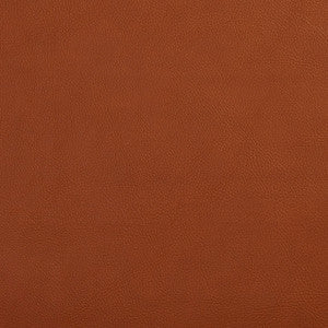 7443 Palomino by Charlotte Fabric
