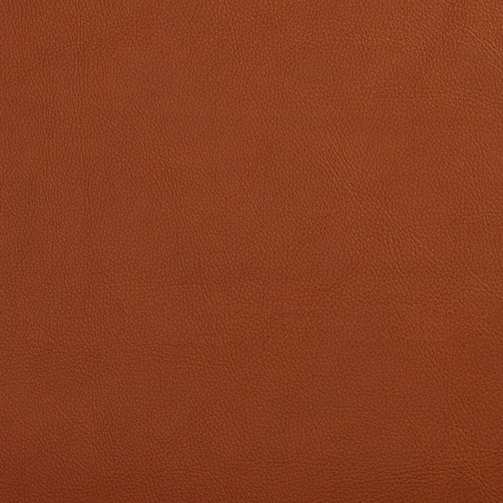 7443 Palomino by Charlotte Designer Fabric UltraHyde Face: Vinyl/Polyurethane, Back: Polyester Microsuede, 29oz. Asia Exceeds 200,000 Wyzenbeek Rubs (Heavy Duty) No Repeat 54 Inches - Swanky Fabrics -