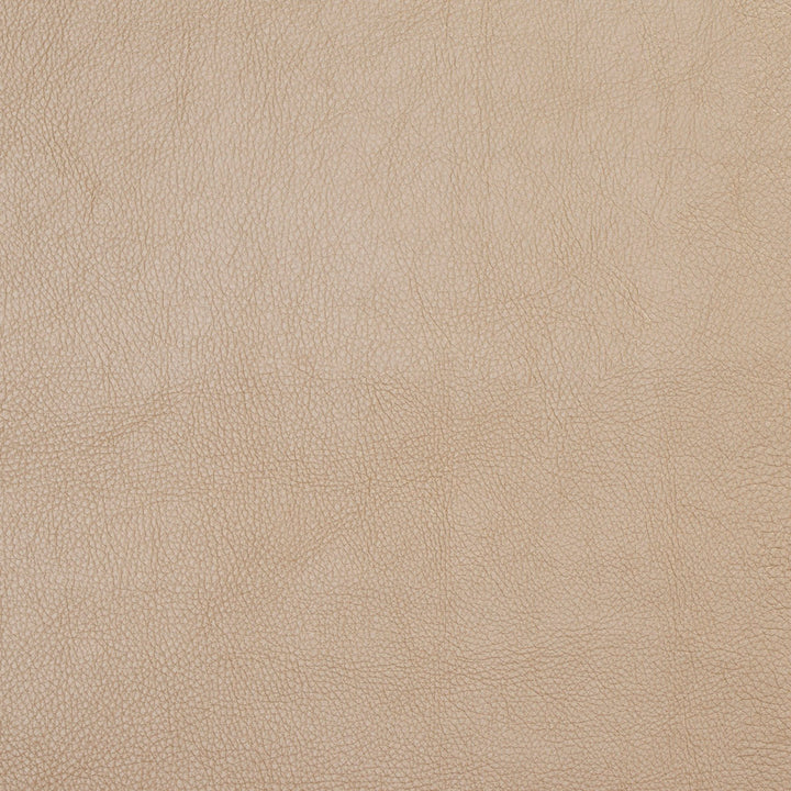 7447 Flax by Charlotte Fabric UltraHyde Face: Vinyl/Polyurethane, Back: Polyester Microsuede, 29oz. Asia Exceeds 2,000,000 Wyzenbeek Double Rubs (Heavy Duty) </p><p>Repeat: No Repeat 54 Inches - Fabric Carolina -