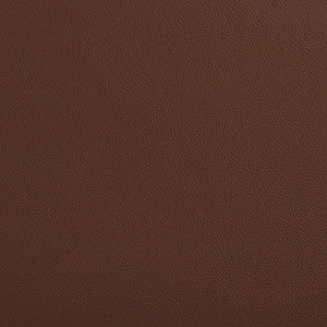 7454 Rawhide by Charlotte Fabric