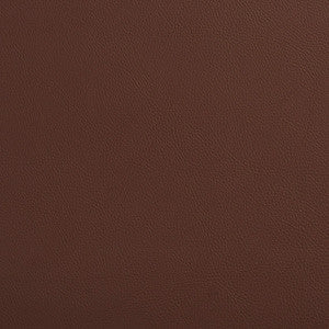 7454 Rawhide by Charlotte Fabric