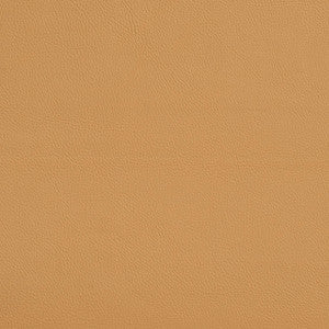 7455 Wheat by Charlotte Fabric