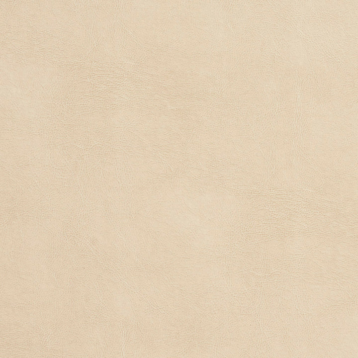 7470 Natural by Charlotte Fabric Recycled Leather IV 50% Polyurethane, 50% Recycled Leather (Pvc/Lead Free), 30oz. Asia Exceeds 200,000 Wyzenbeek Rubs (Heavy Duty) No Repeat 54 Inches - Fabric Carolina -