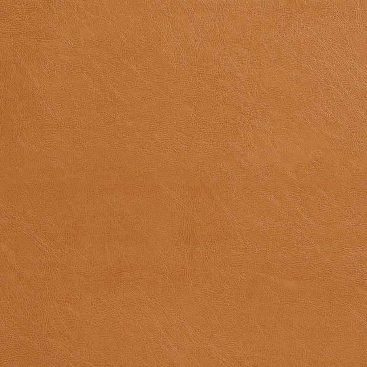 7475 Cashew by Charlotte Fabric Recycled Leather IV 50% Polyurethane, 50% Recycled Leather (Pvc/Lead Free), 30oz. Asia Exceeds 200,000 Wyzenbeek Rubs (Heavy Duty) No Repeat 54 Inches - Fabric Carolina -