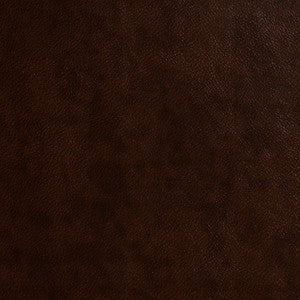 7482 Coffee by Charlotte Fabric