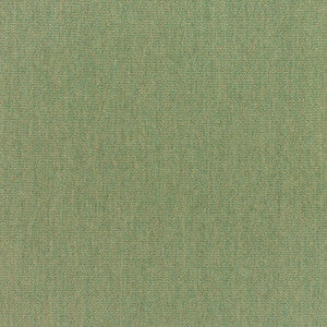 5487 77 Rain Canvas Fern by Sunbrella Fabric