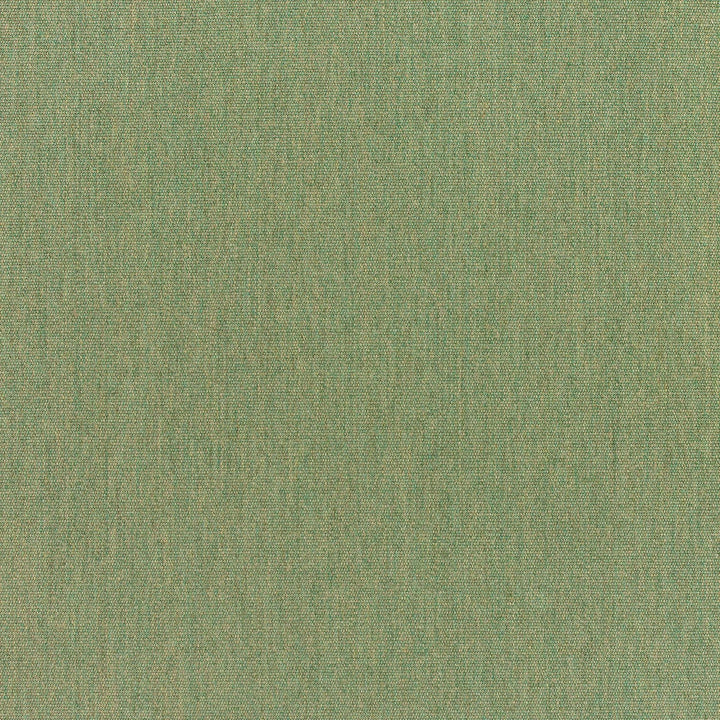 5487 77 Rain Canvas Fern by Sunbrella Fabric Sunbrella Rain 100% Sunbrella® Acrylic USA or Imported 5-Year Horizontal: and Vertical: 60 yd. 54 in. - Fabric Carolina -