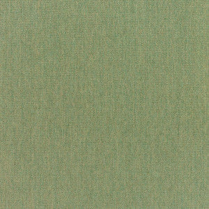 5487 77 Rain Canvas Fern by Sunbrella Fabric