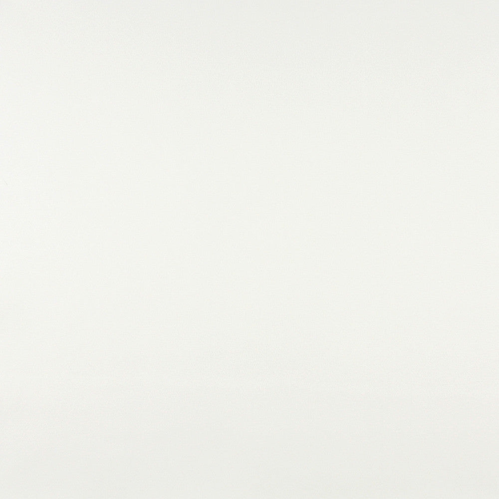 7512 White by Charlotte Fabric Recycled Leather I & III 50% Polyurethane, 50% Recycled Leather (Pvc/Lead Free), 30oz. Asia Exceeds 200,000 Wyzenbeek Rubs (Heavy Duty) No Repeat 54 Inches - Fabric Carolina -
