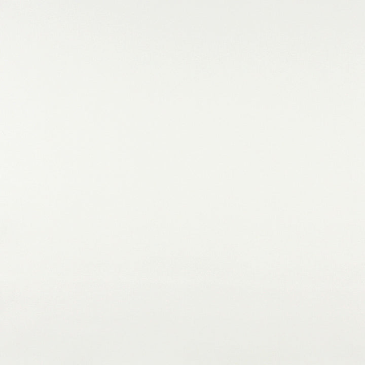 7512 White by Charlotte Fabric Recycled Leather I & III 50% Polyurethane, 50% Recycled Leather (Pvc/Lead Free), 30oz. Asia Exceeds 200,000 Wyzenbeek Rubs (Heavy Duty) No Repeat 54 Inches - Fabric Carolina -