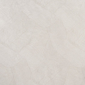 Burnett Pewter 75191 by Schumacher Fabric