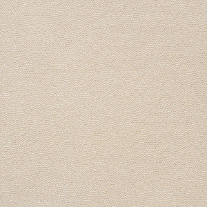 Stingray Champagne 75200 by Schumacher Fabric
