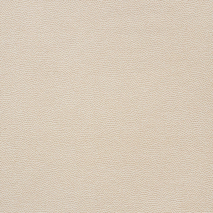 Stingray Champagne 75200 by Schumacher Designer Fabric Relaxed-Glamour 56% Polyester, 32% Viscose, 12% Cotton Martindale 32,000 Horizontal: - and Vertical: - 54 - Swanky Fabrics -