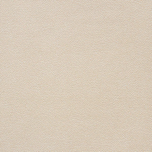 Stingray Champagne 75200 by Schumacher Fabric
