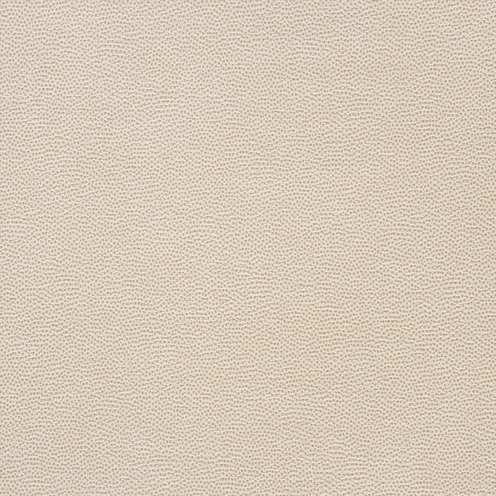 Stingray Champagne 75200 by Schumacher Fabric RELAXED GLAMOUR See Sample ITALY - </p><p>Repeat: Horizontal: - and Vertical: - 54" (137CM) - Fabric Carolina -