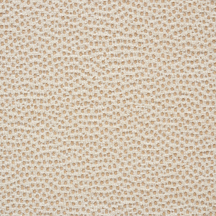 Stingray Champagne 75200 by Schumacher Fabric RELAXED GLAMOUR POLYESTER 56% VISCOSE 32% ITALY MARTINDALE 32,000 </p><p>Repeat: Horizontal: and Vertical: 54 - Fabric Carolina -
