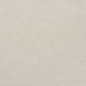 Stingray Pewter 75201 by Schumacher Fabric