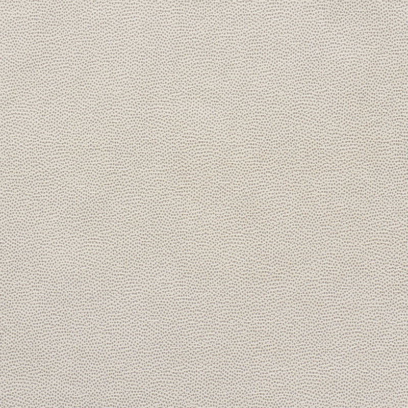 Stingray Pewter 75201 by Schumacher Designer Fabric Relaxed-Glamour 56% Polyester, 32% Viscose, 12% Cotton Martindale 32,000 Horizontal: - and Vertical: - 54 - Swanky Fabrics -