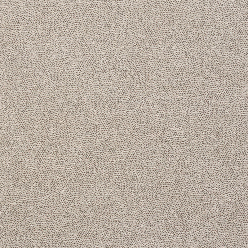 Stingray Zinc 75202 by Schumacher Fabric Relaxed-Glamour 56% Polyester, 32% Viscose, 12% Cotton Martindale 32,000 Horizontal: - and Vertical: - 54 - Fabric Carolina -
