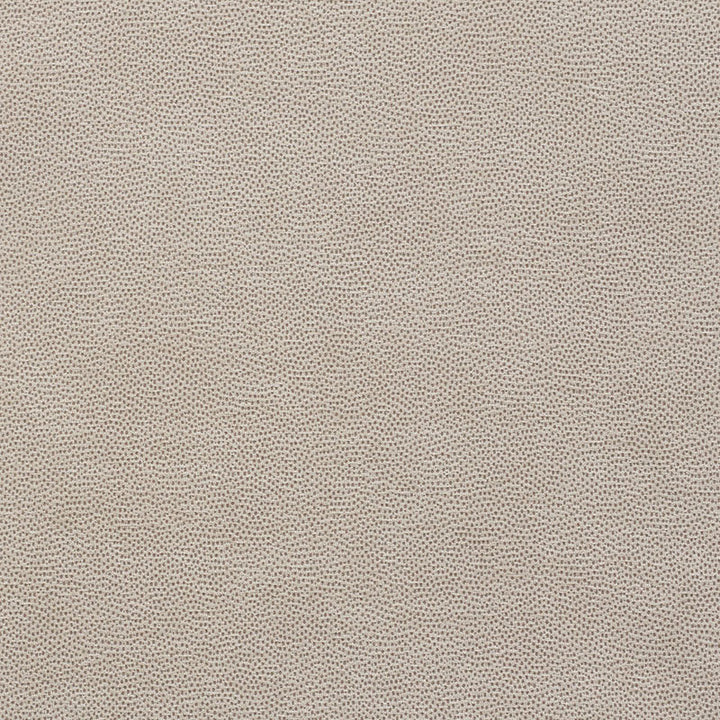 Stingray Zinc 75202 by Schumacher Fabric Relaxed-Glamour 56% Polyester, 32% Viscose, 12% Cotton Martindale 32,000 Horizontal: - and Vertical: - 54 - Fabric Carolina -