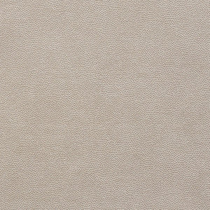 Stingray Zinc 75202 by Schumacher Fabric