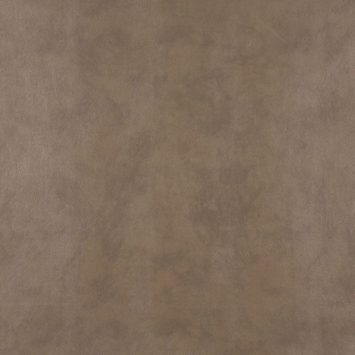 7522 Taupe by Charlotte Fabric Recycled Leather 50% Polyurethane, 50% Recycled Leather (Pvc/Lead Free), 30oz. Asia Exceeds 200,000 Wyzenbeek Rubs (Heavy Duty) No Repeat 54 Inches - Fabric Carolina -