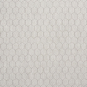 Abaco Grey 75342 by Schumacher Fabric