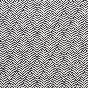 Avila Embroidery Black 75372 by Schumacher Fabric