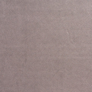 7540 Pewter by Charlotte Fabric