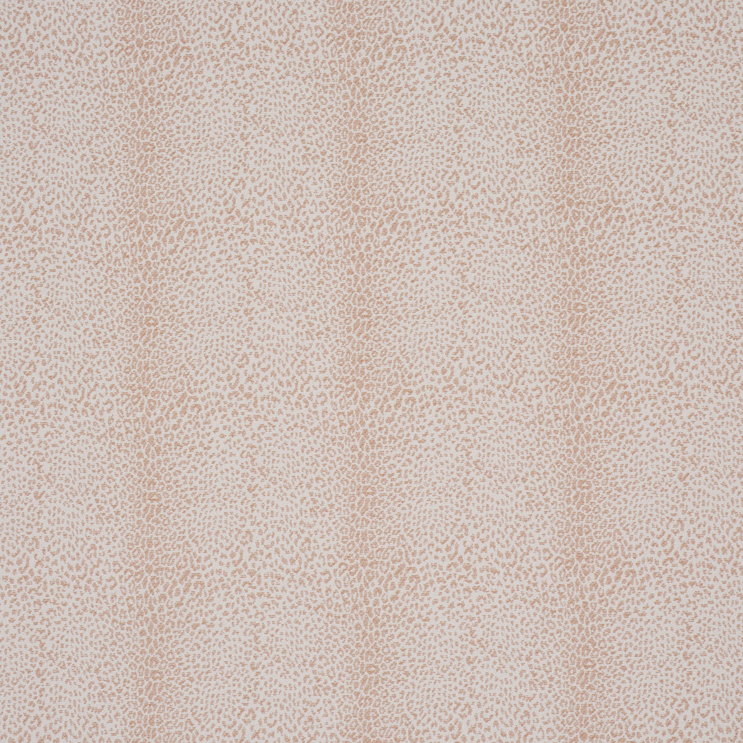 Mini Leopard Outdoor - Blush by Schumacher Fabric