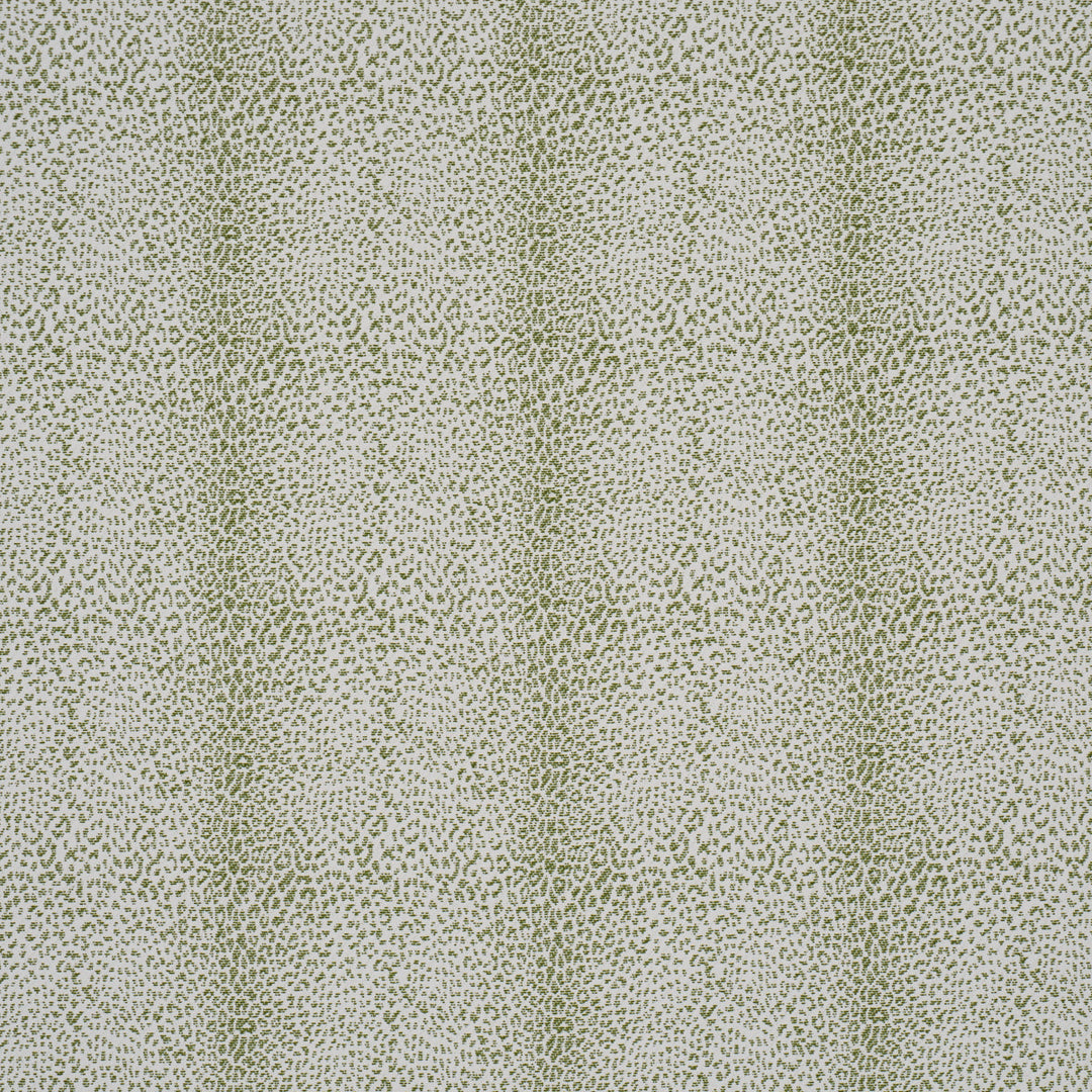 Mini Leopard Outdoor - Green by Schumacher Fabric