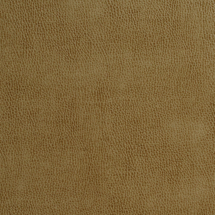 7550 Sage by Charlotte Fabric Recycled Leather II & Themes In Tapestry II 50% Polyurethane, 50% Recycled Leather (Pvc/Lead Free), 30oz. Asia Exceeds 200,000 Wyzenbeek Rubs (Heavy Duty) No Repeat 54 Inches - Fabric Carolina -