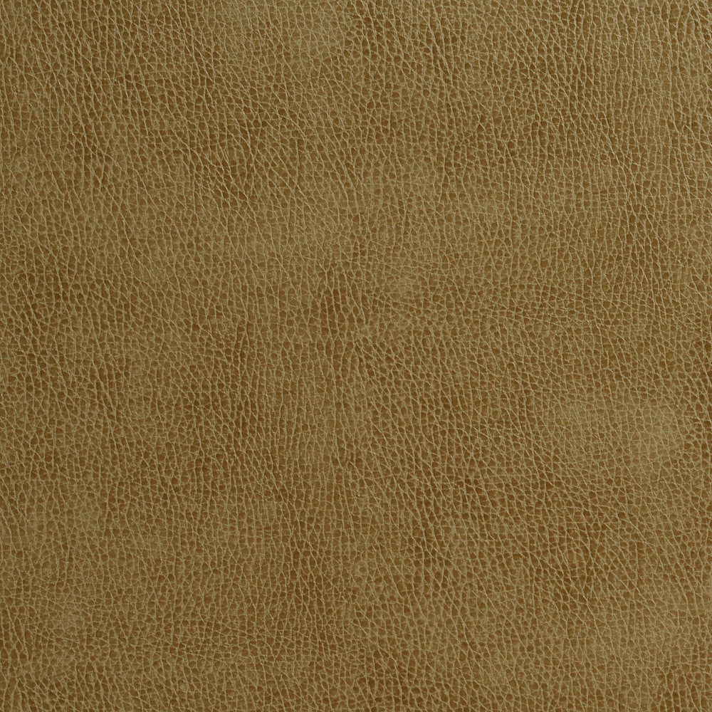 7550 Sage by Charlotte Fabric Recycled Leather II & Themes In Tapestry II 50% Polyurethane, 50% Recycled Leather (Pvc/Lead Free), 30oz. Asia Exceeds 200,000 Wyzenbeek Rubs (Heavy Duty) No Repeat 54 Inches - Fabric Carolina -