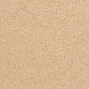 7551 Cashew by Charlotte Fabric