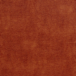 7552 Sienna by Charlotte Fabric