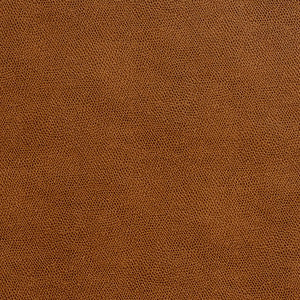 7575 Toffee by Charlotte Fabric